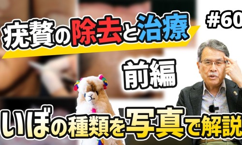 不同玉的功效与作用图片-不同玉的功效与作用图片、不同玉的功效与作用图片 -不同玉的功效与作用网